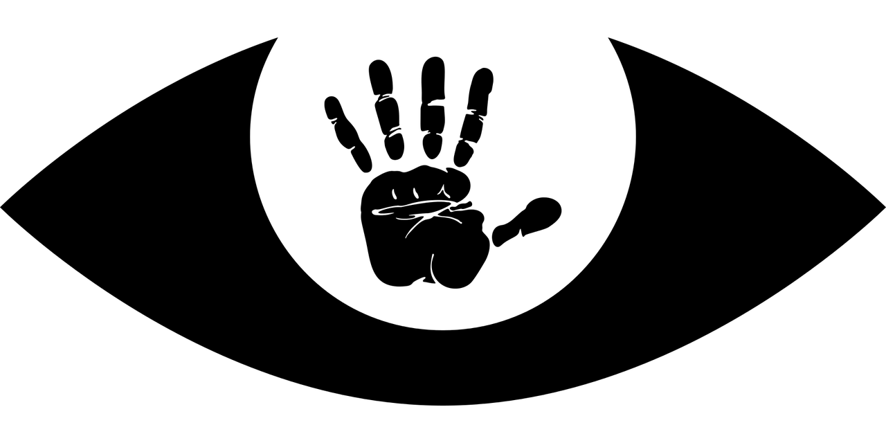 国防部最新动态揭晓，最新消息一览