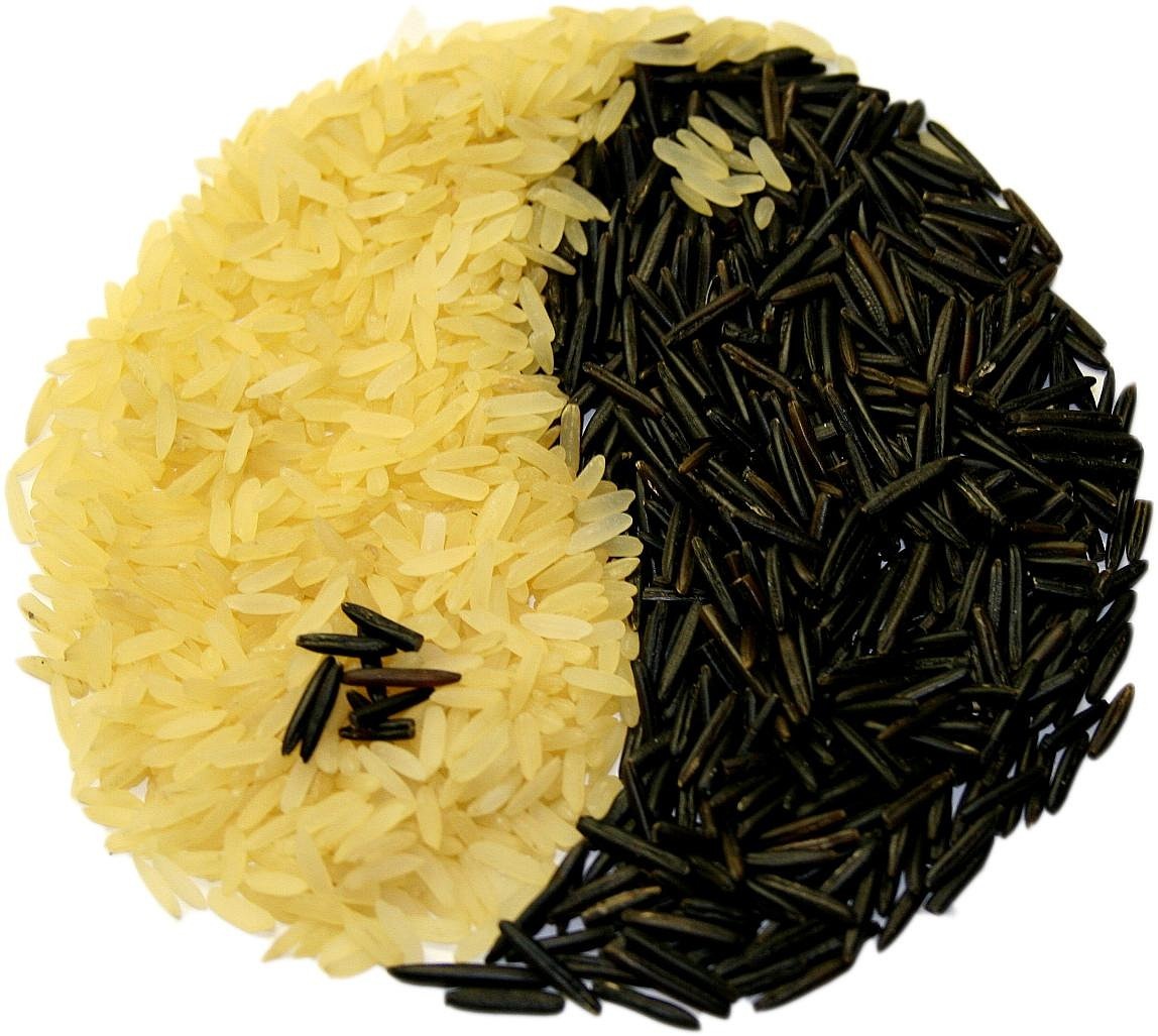 新研股份最新动态更新，最新消息汇总