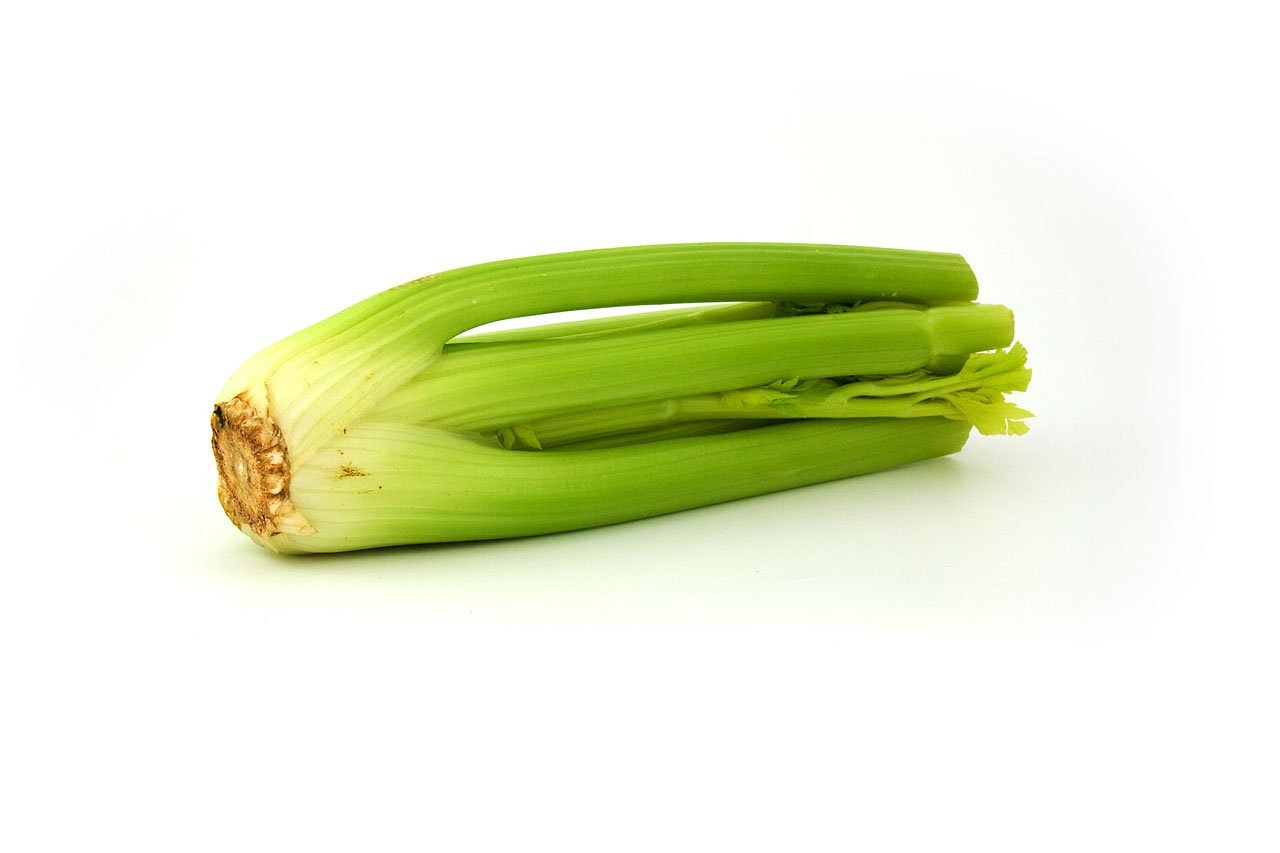 芹菜最新市场行情概览