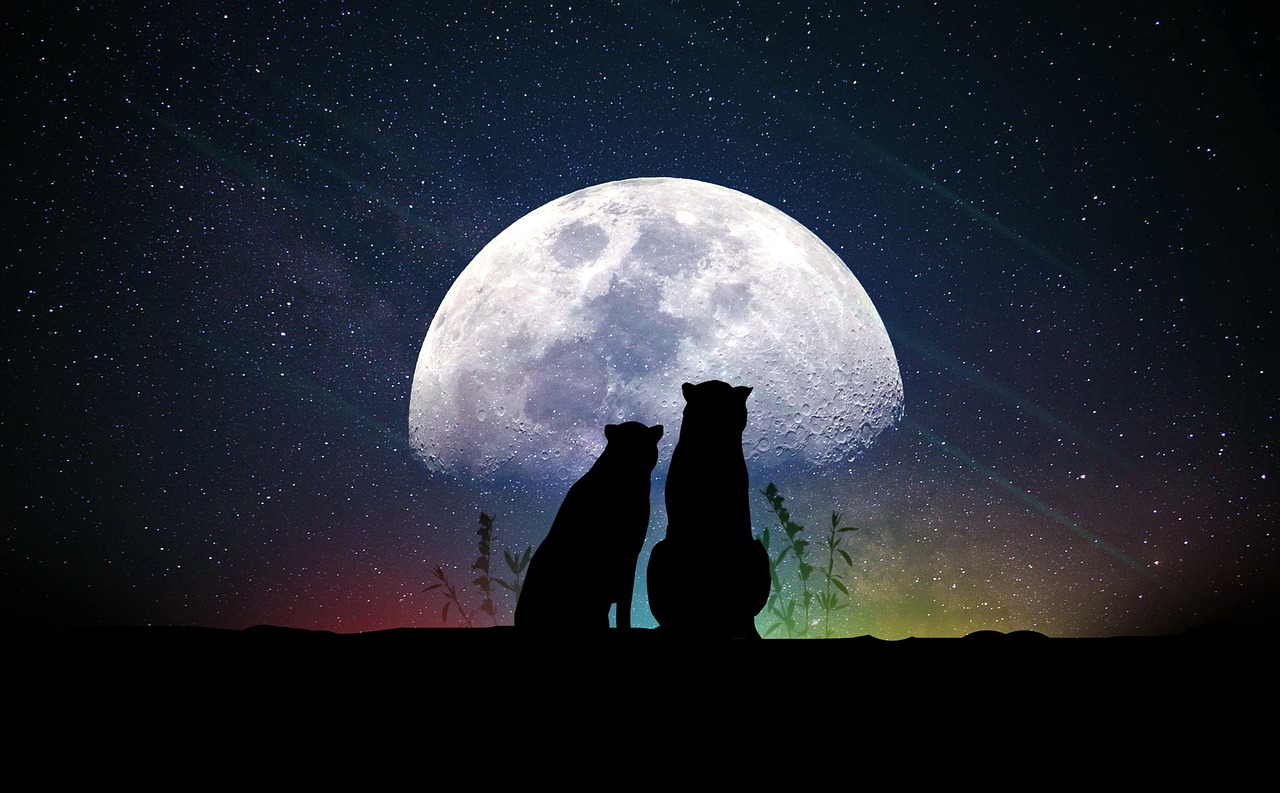 最新午夜剧场，探索情感世界的深度探索