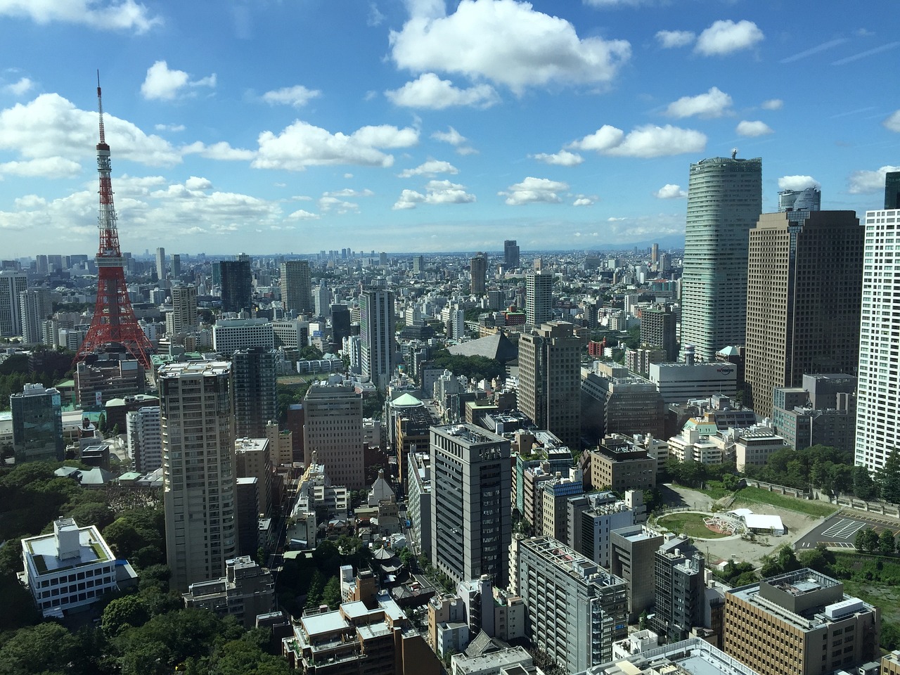 2024年11月 第5页